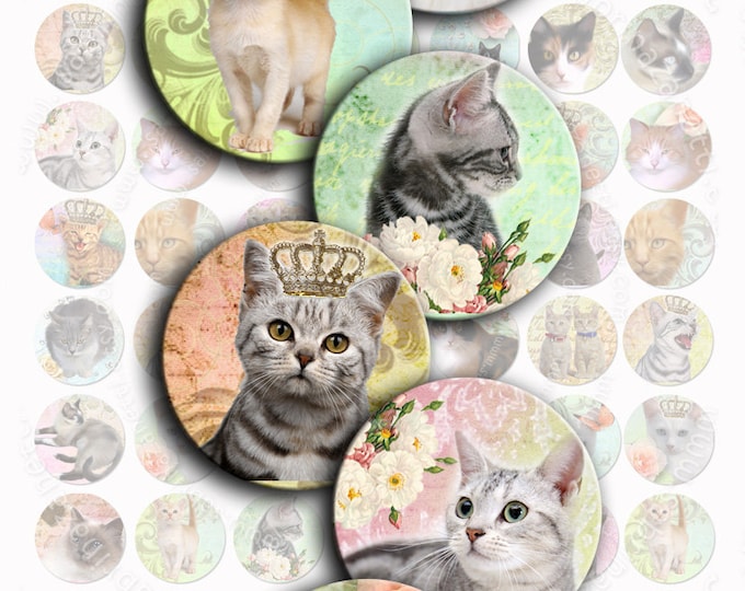 Digital collage sheet PORTHOLES and CATS 1 inch circle puppies pets vintage romantic for pendant craft instant download printable tn145