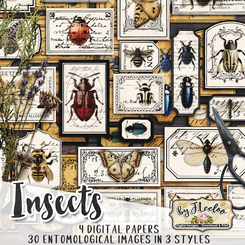 INSECTS Entomology Labels Kit Printable Vintage Ephemera Butterfly ...