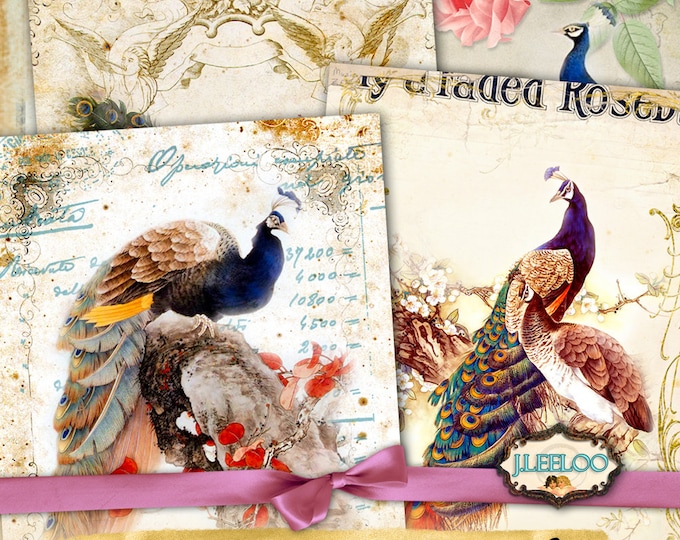 PEACOCKS POSTCARDS 7x5 inch large digital peacock papers scrapbook instant download printable Digital collage sheet pp338