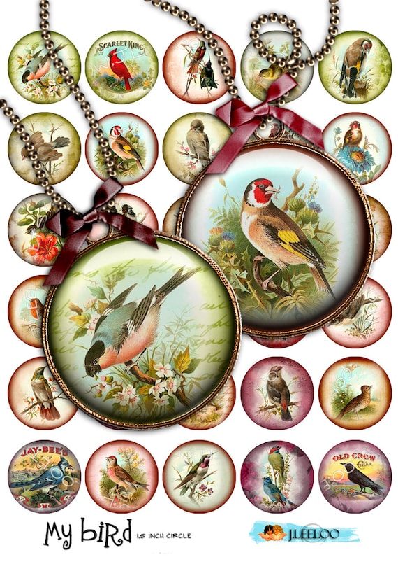 Digital printable sheet MY BIRD 1.5 inch circle old book images for hang tags scrapbook pendant magnet labels instant download tn284