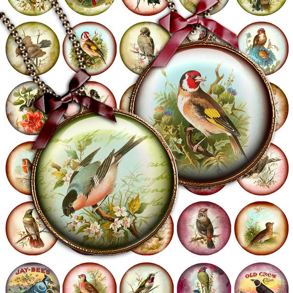 Foglio stampabile digitale MY BIRD 1,5 pollici cerchio immagini di vecchi libri per etichette appese scrapbooking ciondolo magnete etichette download immediato tn284