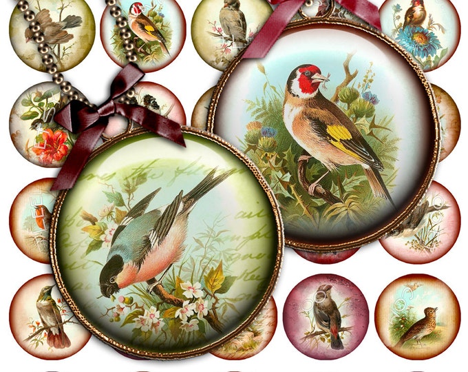 Digital printable sheet MY BIRD 1.5 inch circle old book images for hang tags scrapbook pendant magnet labels instant download tn284