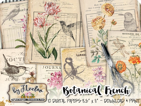 BOTANICAL FRENCH large 8.5x11 inch digital shabby flower collage sheet bills distressed scrapbooking instant download printable diary pp516