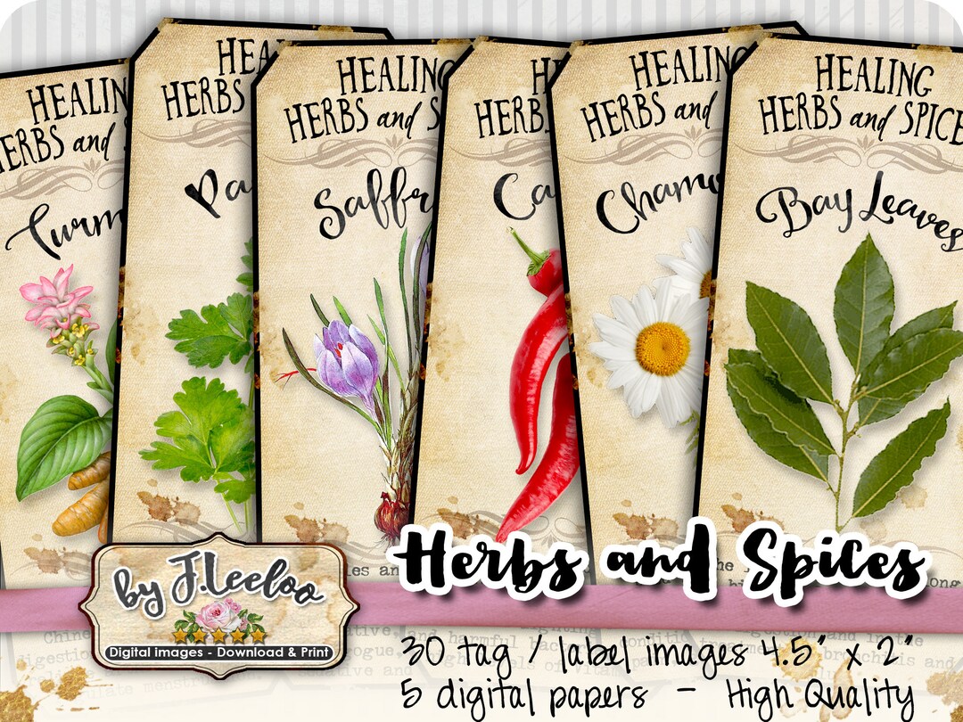 Herbes et épices étiquettes étiquette potion médicale folklorique