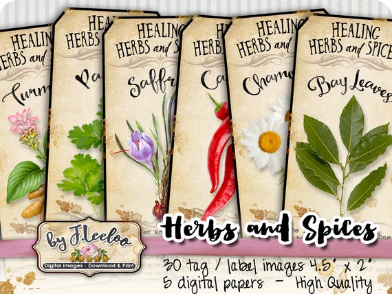 HERBS and SPICES  tags label medical folk potion Witch bottle jar instant download printable images digital collage sheet tl219