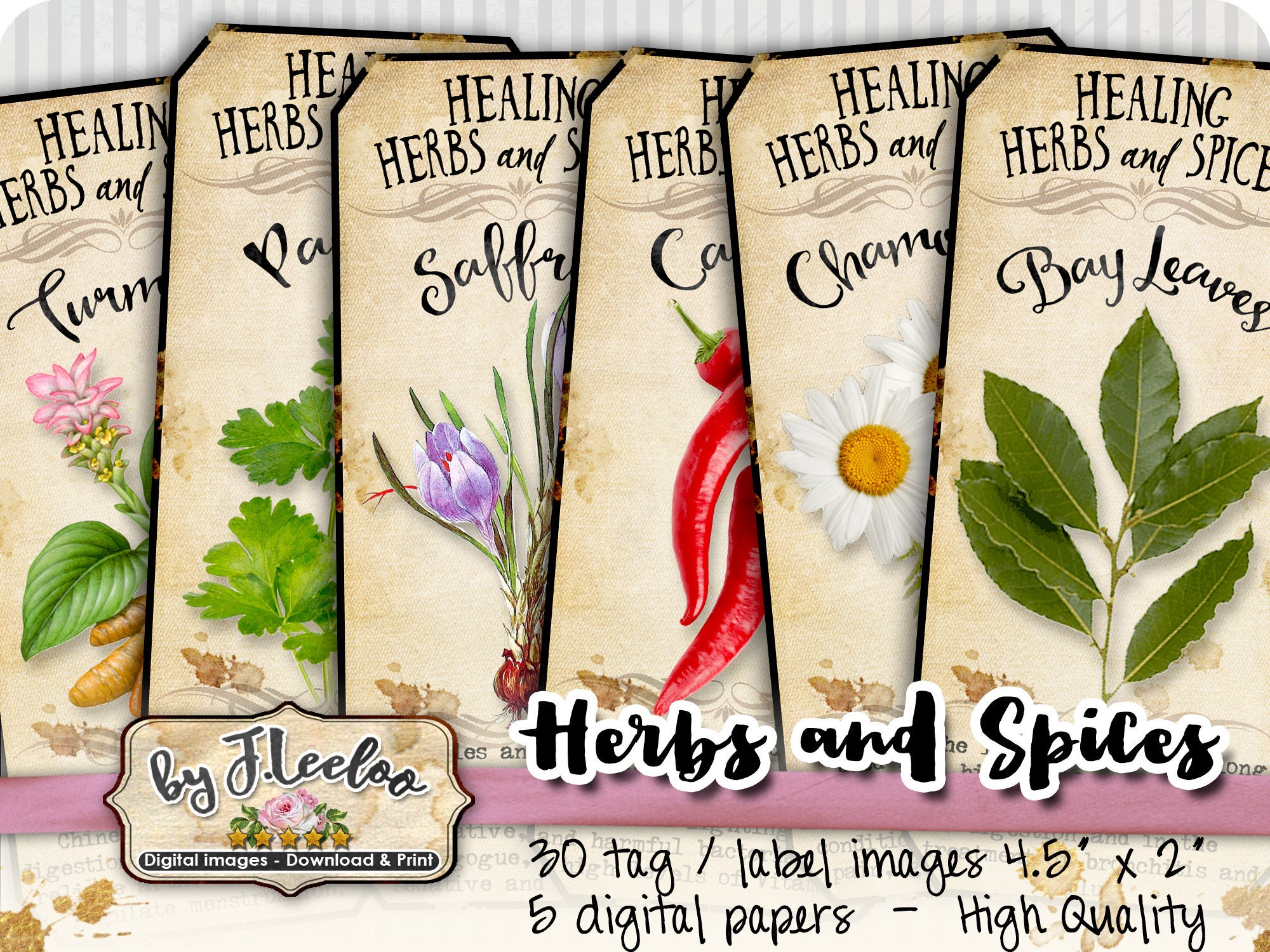 12 Herbes Et Épices Sur Étiquette Ronde Clip Art Libres De Droits