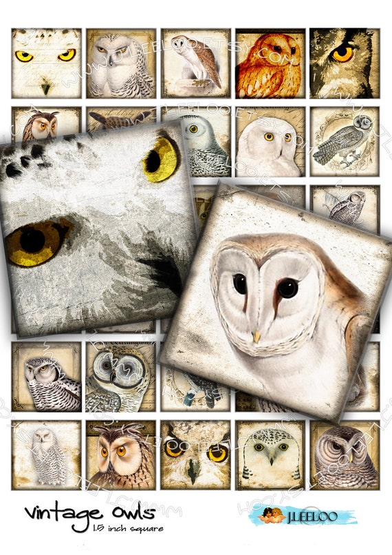Digital paper VINTAGE OWL 1.5 inch square scary bird wings raptors pendants magnet stickers hang tags instant download printable qu275