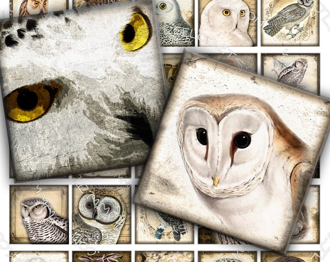 Digital paper VINTAGE OWL 1.5 inch square scary bird wings raptors pendants magnet stickers hang tags instant download printable qu275