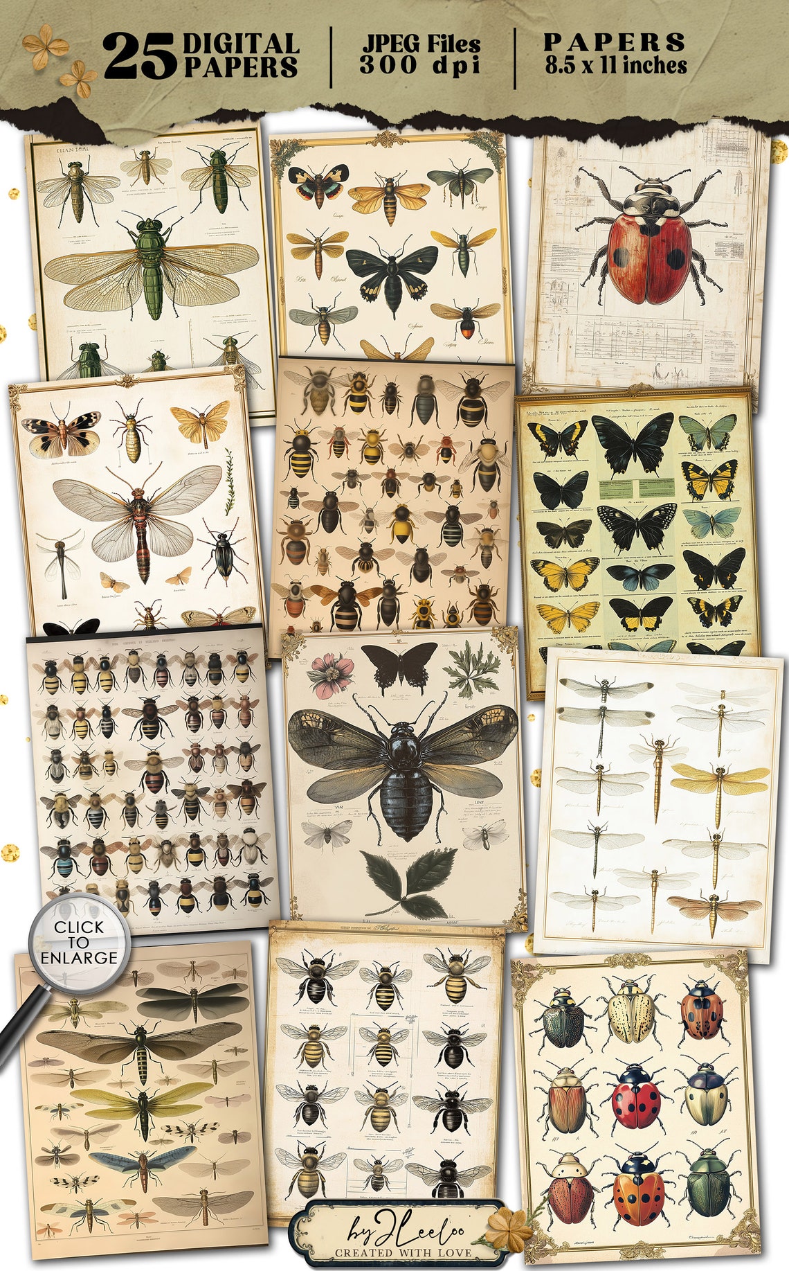 VICTORIAN INSECTARIUM Vintage Pages Collage | Old Naturalistic Charts ...