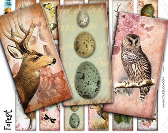 IN THE FOREST 2x1inch domino dragonfly deer owl eggs nest romantic for magnet jewelry pendant Digital sheet instant download do142