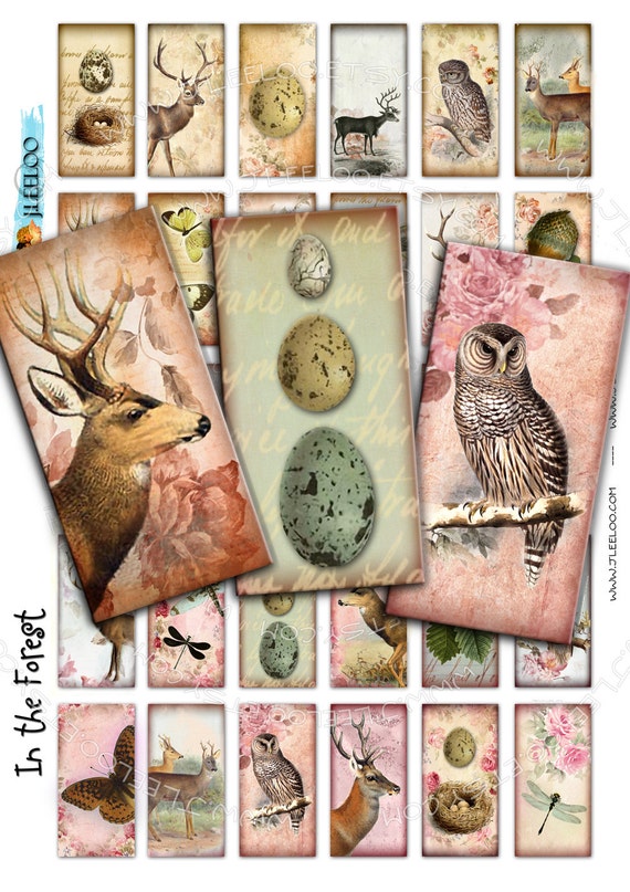 IN THE FOREST 2x1inch domino dragonfly deer owl eggs nest romantic for magnet jewelry pendant Digital sheet instant download do142