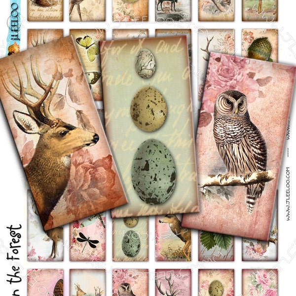 IN THE FOREST 2x1inch domino dragonfly deer owl eggs nest romantic for magnet jewelry pendant Digital sheet instant download do142