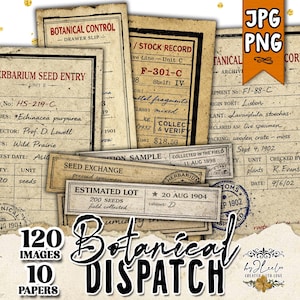 May include: A set of three ceramic mugs with a speckled, matte finish. The mugs are in shades of cream, light gray, and dark gray. Each mug has a simple, minimalist design and a rounded handle.