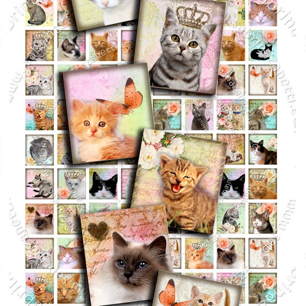 Digital collage sheet WONDER CAT'S scrabble .83x.75 puppie kitten for pendant jewelry clipart magnet instant download printable sc102