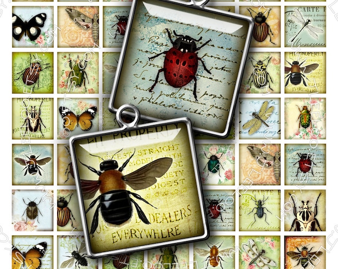 Digital paper INSECT 1x1 inch square butterfly ladybug coleoptera beetles for magnet stickers pendant instant download printable qu266