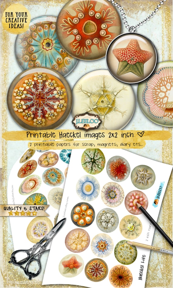 Digital printable HAECKEL LIFE 2 inch circle sheets nature digital images for pendant magnet craft instant download tn522