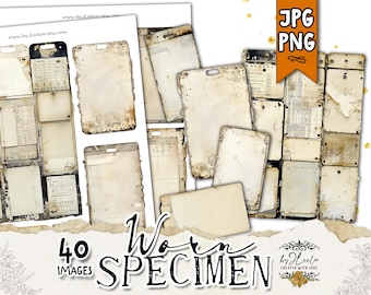 Vintage WORN SPECIMEN Labels and Tags | Distressed Grungy Ephemera for Junk Journal & Collage | Steampunk Masculine Supplies | cl165