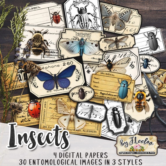 INSECTS entomology labels kit printable vintage ephemera butterfly insect junk journal instant download printable digital collage | tl254