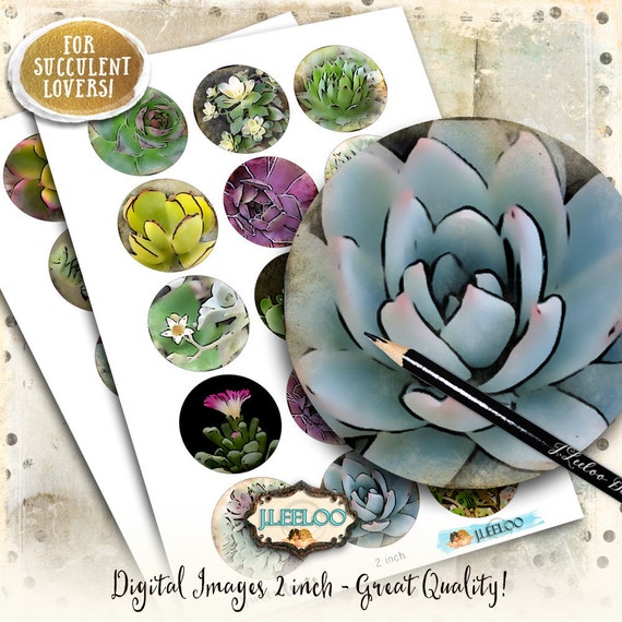 Digital collage SUCCULENTS 2 inch circle for magnets scrap jewelry glass pendants hang tags scrapbook original instant download tn556