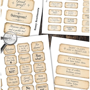 May include: A collection of rectangular paper labels with vintage-style beige backgrounds and decorative borders. Each label features black printed text with various sassy and humorous phrases such as Good grief, Outrageous, and Sassy, classy, and a smart-ass.