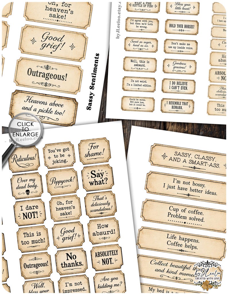 May include: A collection of rectangular paper labels with vintage-style beige backgrounds and decorative borders. Each label features black printed text with various sassy and humorous phrases such as Good grief, Outrageous, and Sassy, classy, and a smart-ass.