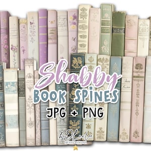 Shabby BUCHRUCKEL viktorianisches PNG Buch | libralides Junk Journal Scrapbook Cliparts | zart rosa elfenbein salbeigrün antik | S.899