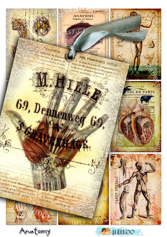 ANATOMY printable skull bones antique book atc aceo size  instant download Digital collage sheet background vintage ac108