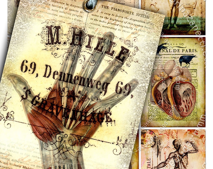 ANATOMY printable skull bones antique book atc aceo size  instant download Digital collage sheet background vintage ac108