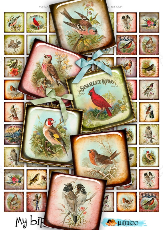 Digital printable sheet MY BIRDS 1x1 inch square mirrors paper good glass pendant magnet hang tags craft instant download qu347