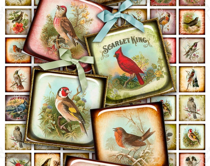 Digital printable sheet MY BIRDS 1x1 inch square mirrors paper good glass pendant magnet hang tags craft instant download qu347