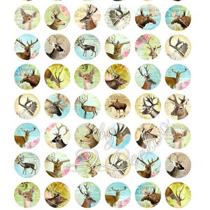 K&ouml;nnte beinhalten: Blatt mit 2,5 cm runden Aufklebern mit Illustrationen von Hirschen und Elchen im Vintage-Stil. Jeder Aufkleber hat ein anderes Hirschbild vor einem Hintergrund aus Pastellfarben, Blumenmustern und antiken Schriften.