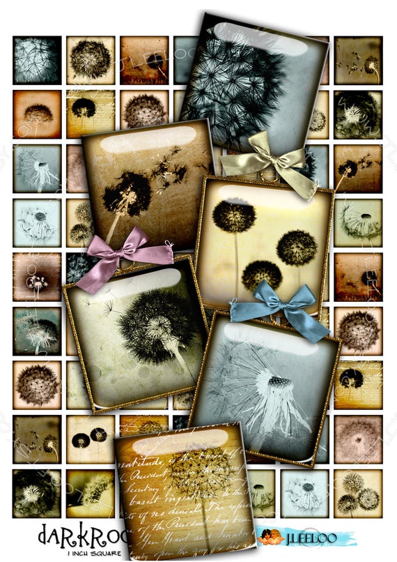 Digital collage DARKROOM 1 inch square romantic dandelion flower for magnet stickers pendant craft instant download printable qu350