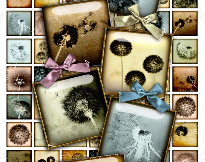 Digital collage DARKROOM 1 inch square romantic dandelion flower for magnet stickers pendant craft instant download printable qu350