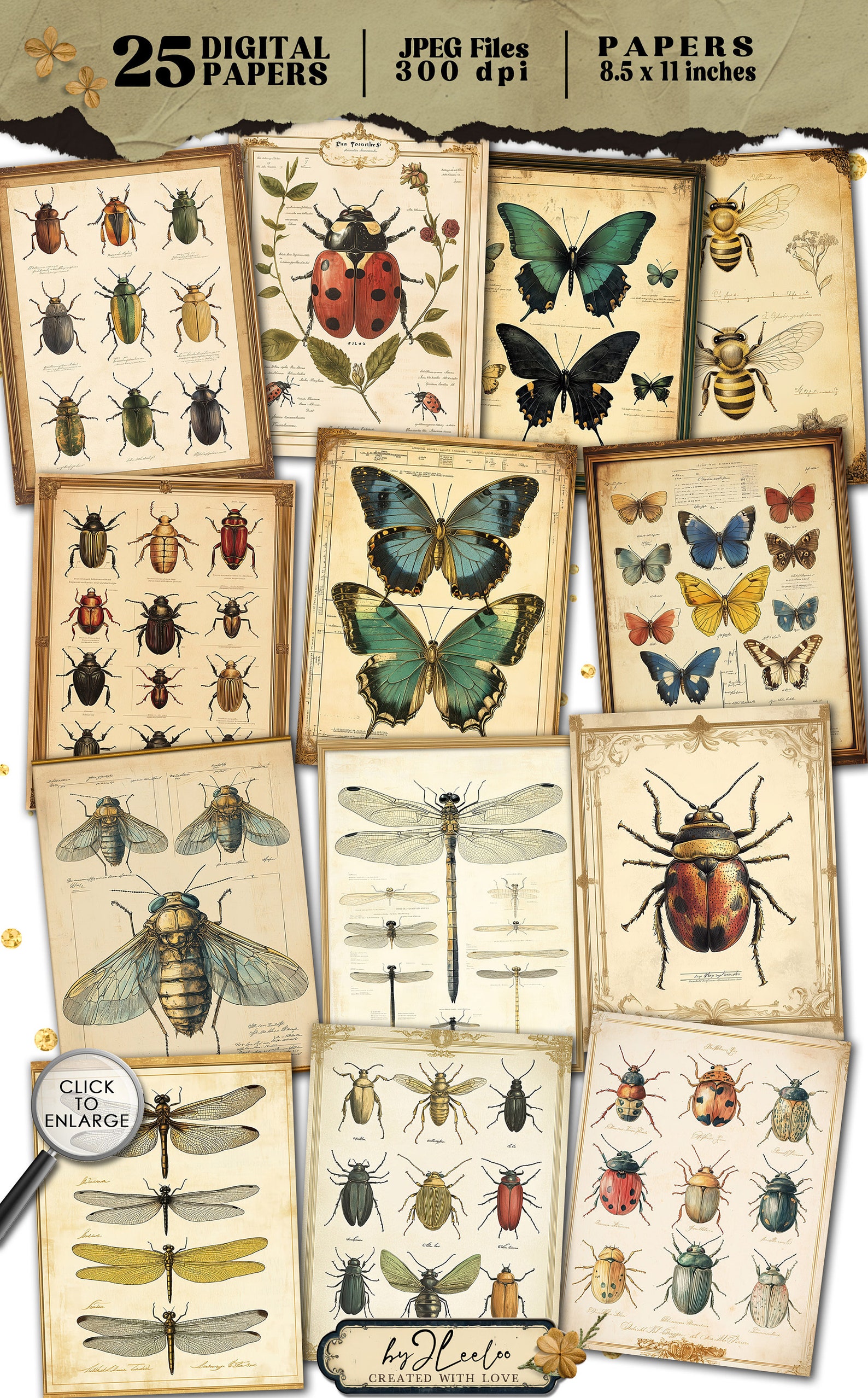 VICTORIAN INSECTARIUM Vintage Pages Collage | Old Naturalistic Charts ...