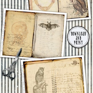 May include: Twelve digital printable sheets with two pages each, featuring vintage illustrations of owls, bats, and anatomical drawings. Three sheets are decorated for inside pages or covers, and six sheets include embellishments such as cards, tags, pockets, and labels. The text "Download and Print" is visible in the image.