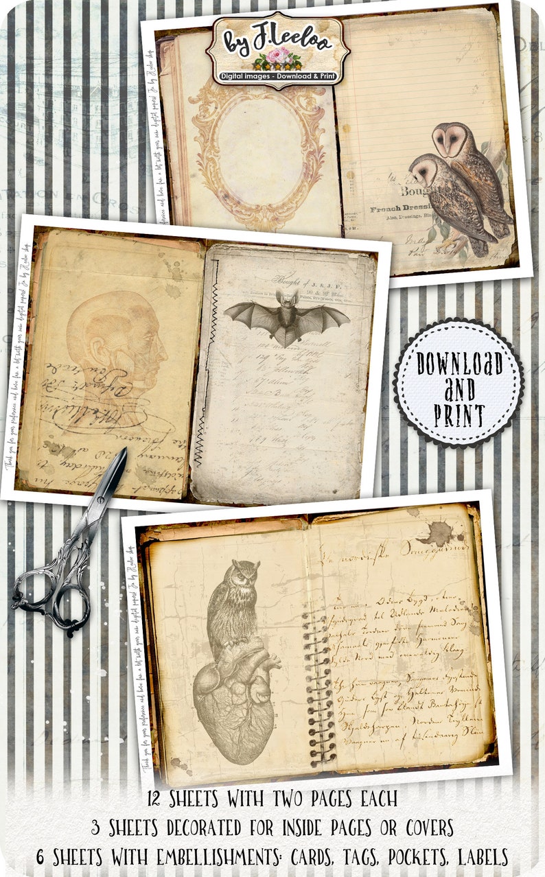 May include: Twelve digital printable sheets with two pages each, featuring vintage illustrations of owls, bats, and anatomical drawings. Three sheets are decorated for inside pages or covers, and six sheets include embellishments such as cards, tags, pockets, and labels. The text "Download and Print" is visible in the image.