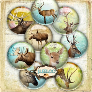 May include: A collection of round, decorative cabochons featuring various deer and moose illustrations. The images are set against vintage-style backgrounds with floral and script elements. The cabochons vary in size and color.
