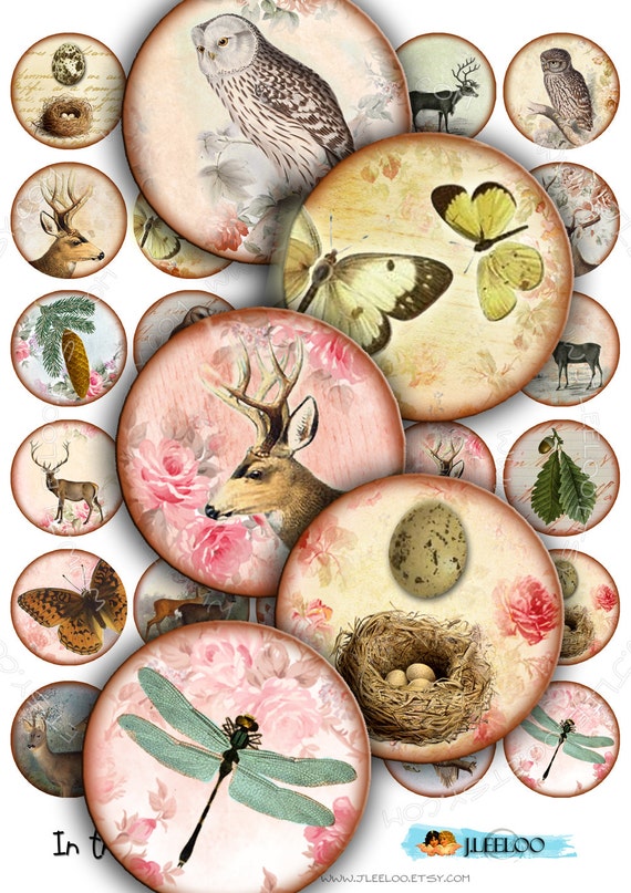 IN THE FOREST 1.5 inch circle dragonfly deer owl eggs nest romantic for magnets jewelry pendants instant download tn209
