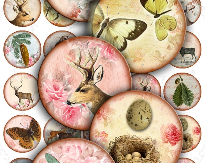 IN THE FOREST 1.5 inch circle dragonfly deer owl eggs nest romantic for magnets jewelry pendants instant download tn209