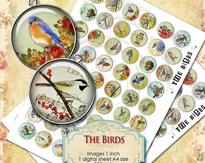 Digital collage sheet THE BIRDS 1 inch circle nest eggs vintage victorian romantic for pendant craft instant download printable tn153