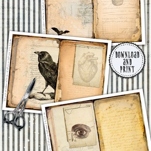 May include: Twelve digital printable sheets with two pages each, featuring vintage style illustrations of a raven, heart, eye, and skull.  The sheets are decorated with handwritten text and are ideal for scrapbooking, card making, and other paper crafts.