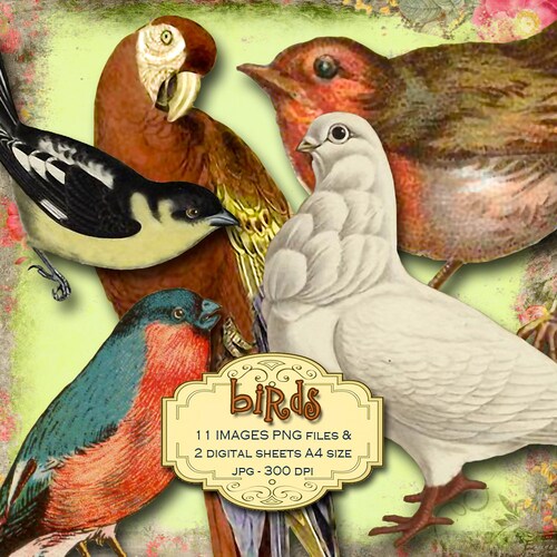 Birds Collage Sheet Digital Scrapbooking Vintage Scrapbook Etsy