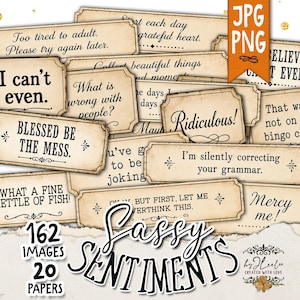 May include: A collection of rectangular paper labels with vintage-style edges, featuring various black printed phrases such as 'I can't even.', 'Blessed be the mess.', and 'I'm silently correcting your grammar.' The set includes 162 images and 20 papers.
