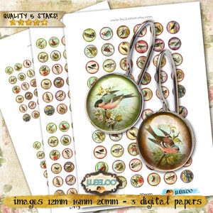 MY BIRDS digital papers  printable 12 16 20 mm circle sheet earring ring size nature digital images for jewelry instant download tn286