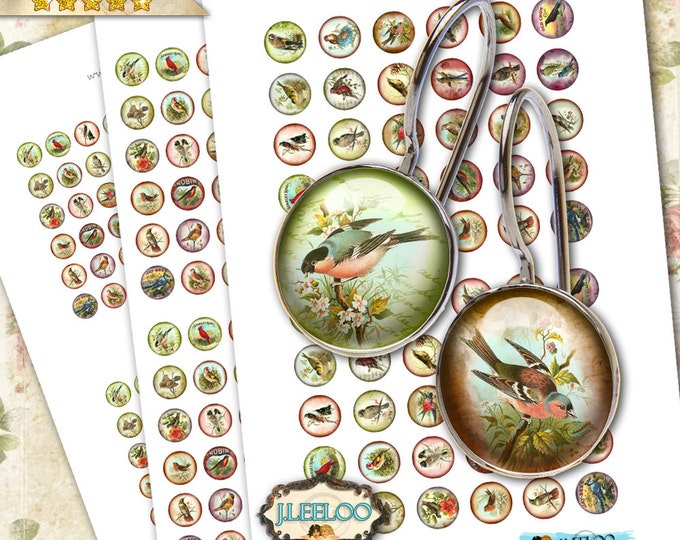 MY BIRDS digital papers  printable 12 16 20 mm circle sheet earring ring size nature digital images for jewelry instant download tn286