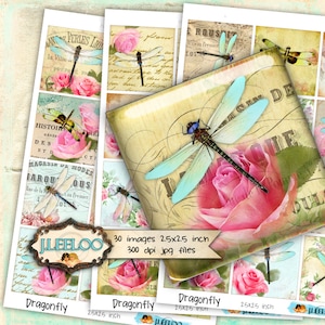 Digital collages DRAGONFLY 2.5 inch square paper goods for invitation  mirrors magnet and craft instant download printable paper tn424