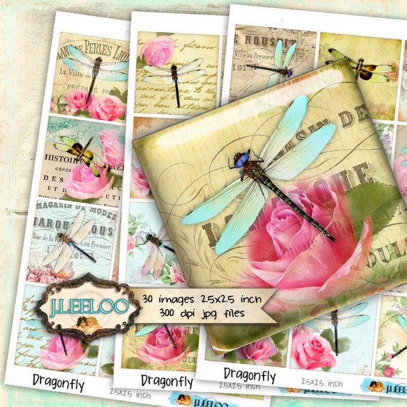 Digital collages DRAGONFLY 2.5 inch square paper goods for invitation  mirrors magnet and craft instant download printable paper tn424