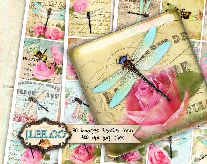 Digital collages DRAGONFLY 2.5 inch square paper goods for invitation  mirrors magnet and craft instant download printable paper tn424