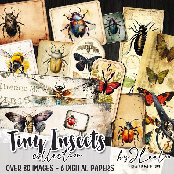 TINY INSECTS labels kit printable vintage entomology butterfly insect junk journal instant download printable digital collage sheet | tl258