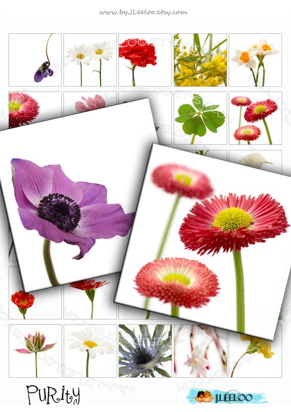 Digital collage sheet PURITY 1.5x1.5 square flower garden for jewelry pendant clipart magnet instant download printable collage qu316